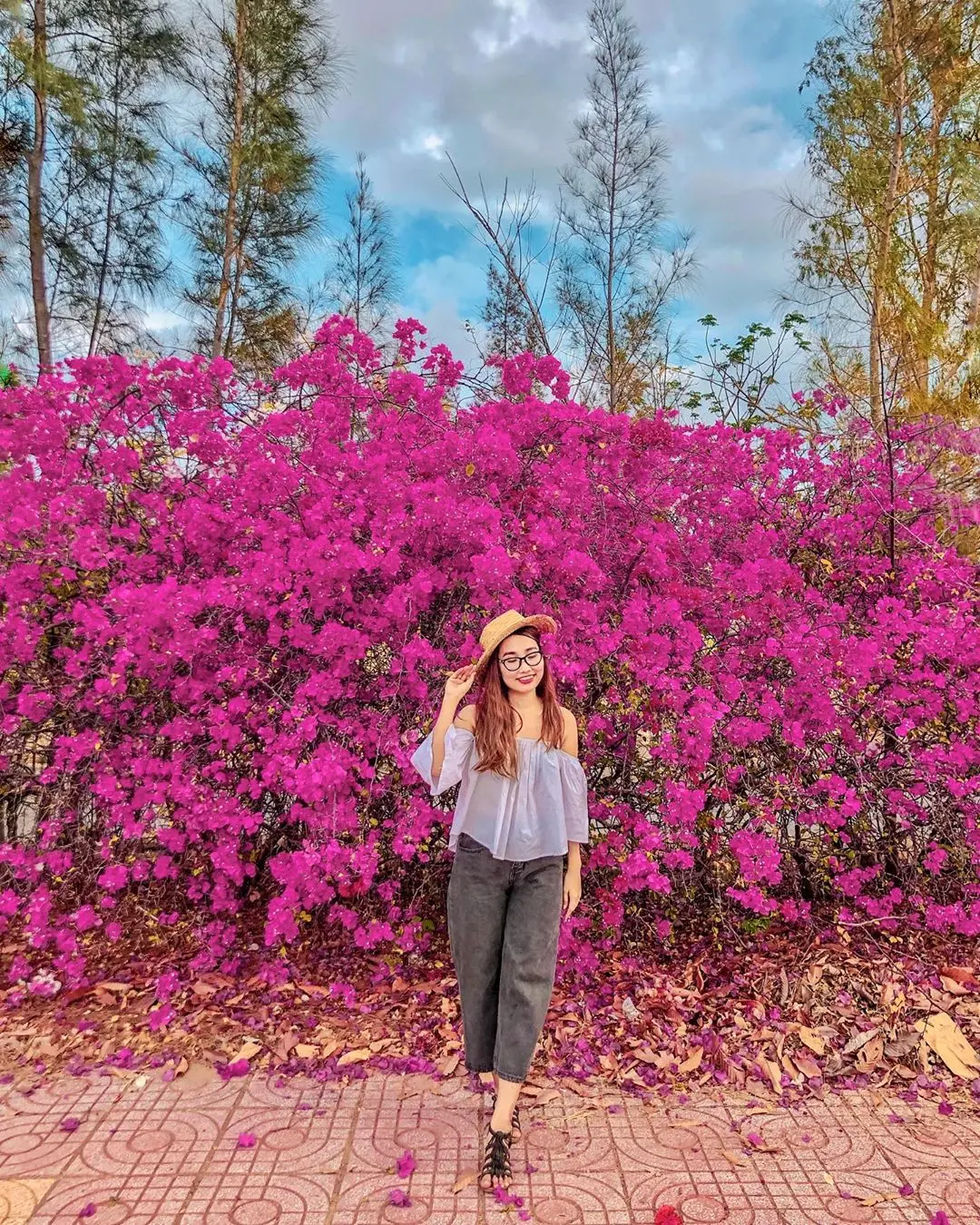 Review h&agrave;nh tr&igrave;nh du lịch Phan Thiết v&agrave;o m&ugrave;a hoa nở rộ 6