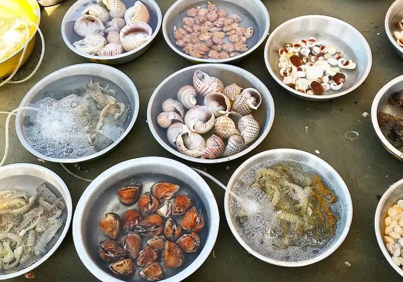 Review hành trình du lịch Phan Thiết 3 ngày 2 đêm đầy thú vị