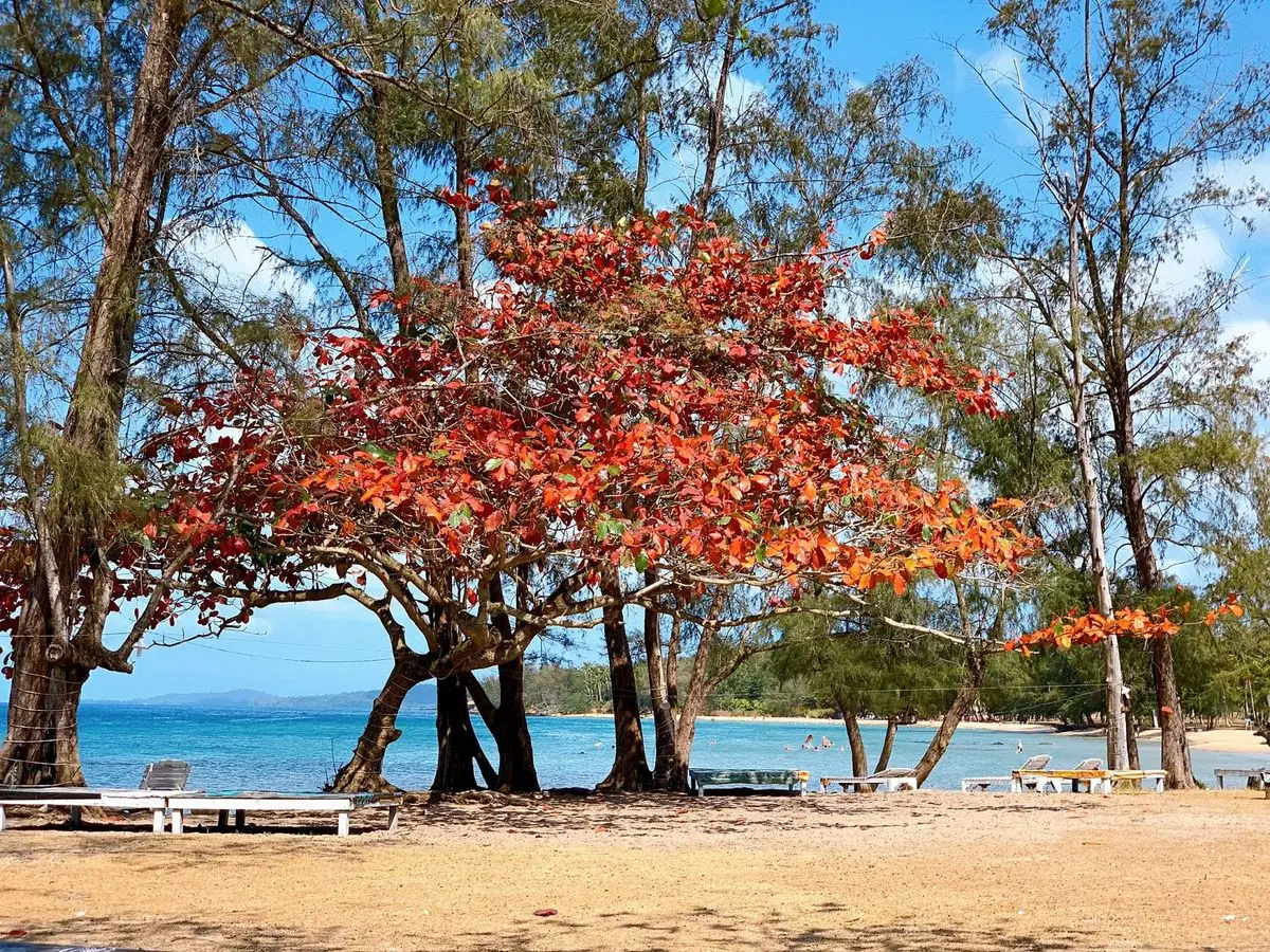 B&atilde;i &Ocirc;ng Lang Ph&uacute; Quốc &ndash; Maldives phi&ecirc;n bản Việt tr&ecirc;n đảo Ngọc 20