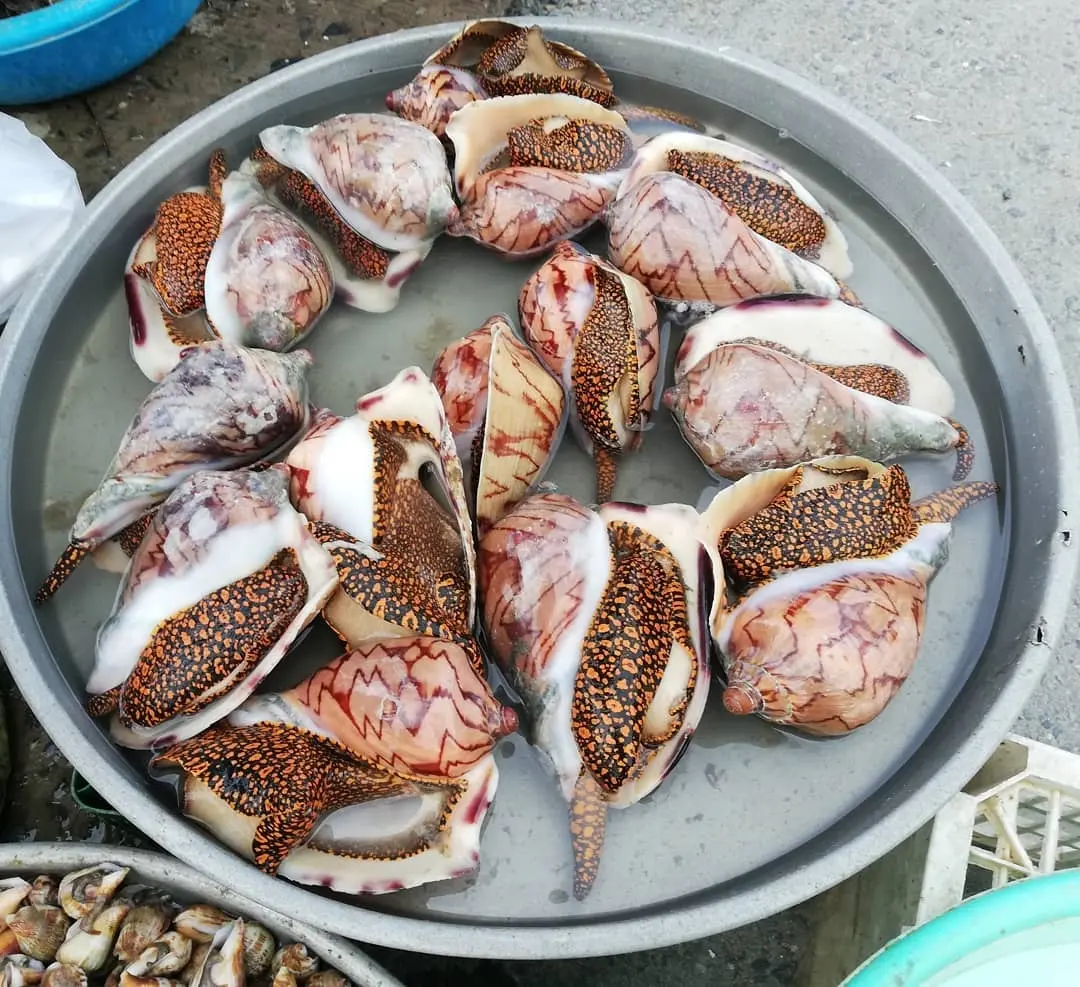 Chợ H&agrave;m Ninh Ph&uacute; Quốc &ndash; Ng&ocirc;i chợ cổ nằm giữa l&agrave;ng ch&agrave;i H&agrave;m Ninh 6