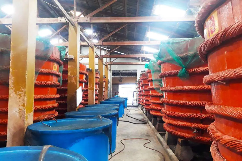 Nh&agrave; th&ugrave;ng nước mắm Ph&uacute; Quốc &ndash; Xưởng nước mắm truyền thống ngon nhất Việt Nam 2