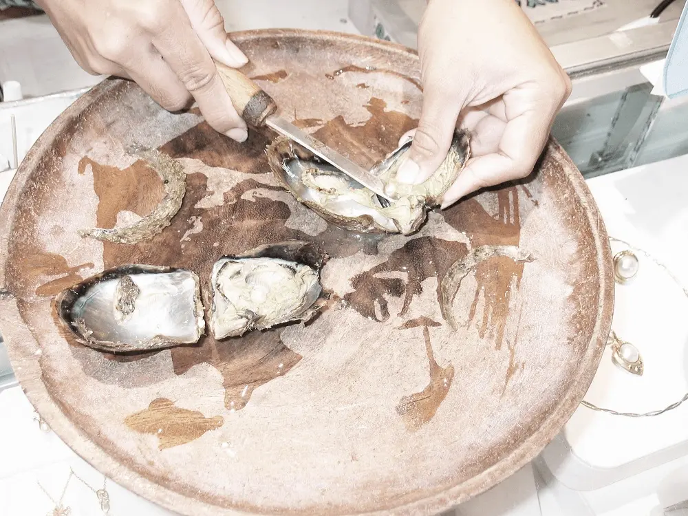 Tham quan xưởng nu&ocirc;i cấy v&agrave; chế t&aacute;c ngọc trai Ph&uacute; Quốc 8