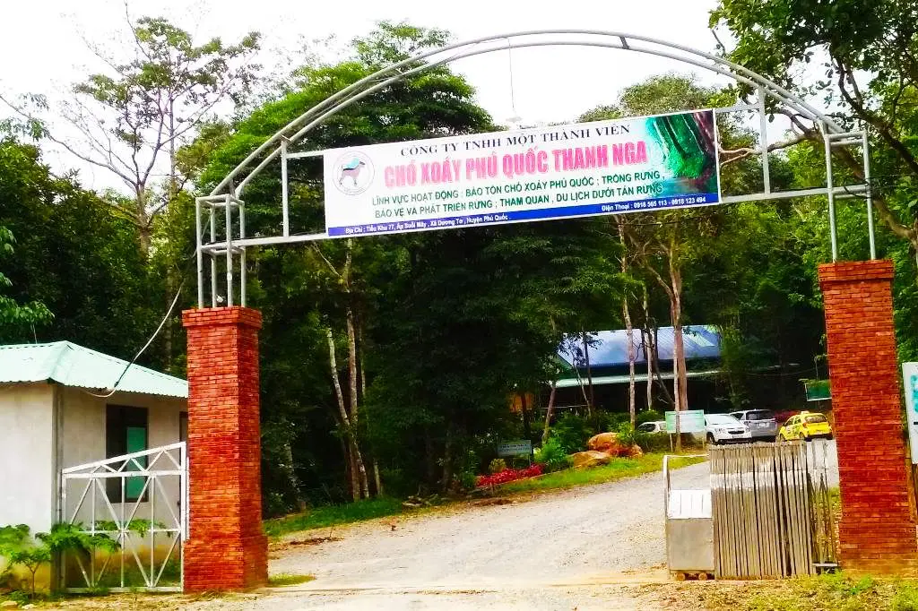Trung t&acirc;m bảo tồn ch&oacute; xo&aacute;y Ph&uacute; Quốc &ndash; Quốc khuyển linh hồn của đảo Ngọc 2