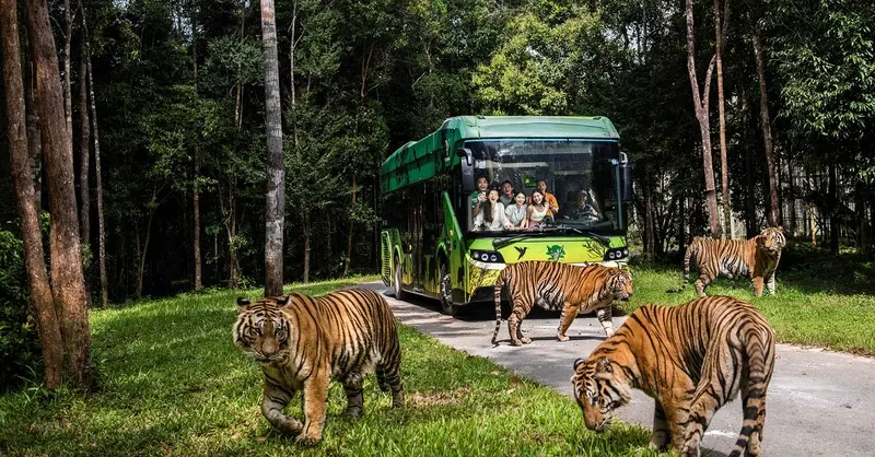 Vinpearl Safari Ph&uacute; Quốc &ndash; Review từ A-Z m&ocirc; h&igrave;nh b&aacute;n sở th&uacute; hoang d&atilde; đầu ti&ecirc;n tại Việt Nam 2