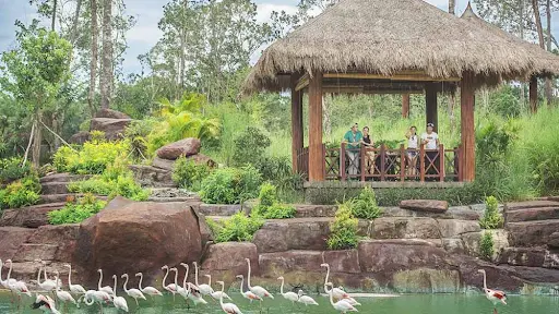 Vinpearl Safari Ph&uacute; Quốc &ndash; Review từ A-Z m&ocirc; h&igrave;nh b&aacute;n sở th&uacute; hoang d&atilde; đầu ti&ecirc;n tại Việt Nam 25