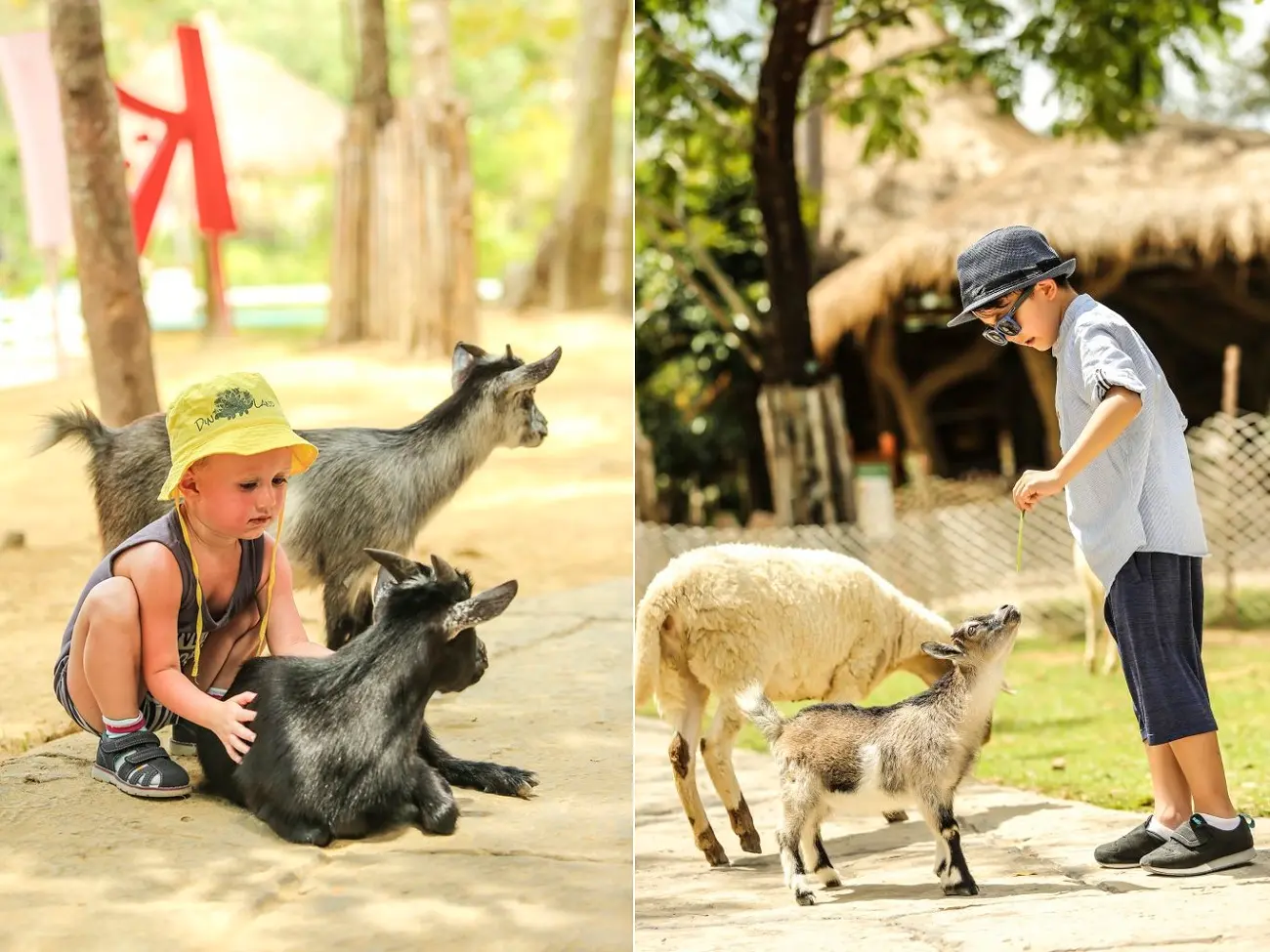Vinpearl Safari Ph&uacute; Quốc &ndash; Review từ A-Z m&ocirc; h&igrave;nh b&aacute;n sở th&uacute; hoang d&atilde; đầu ti&ecirc;n tại Việt Nam 10