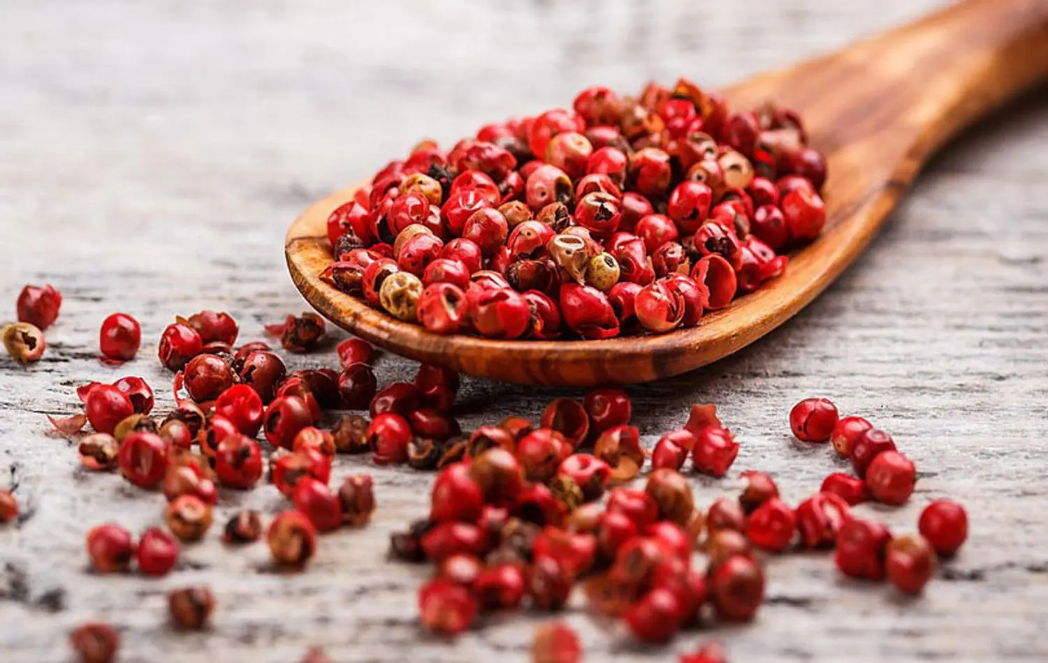 Vườn ti&ecirc;u Ph&uacute; Quốc &ndash; V&agrave;ng đen tr&ecirc;n đảo Ngọc 14