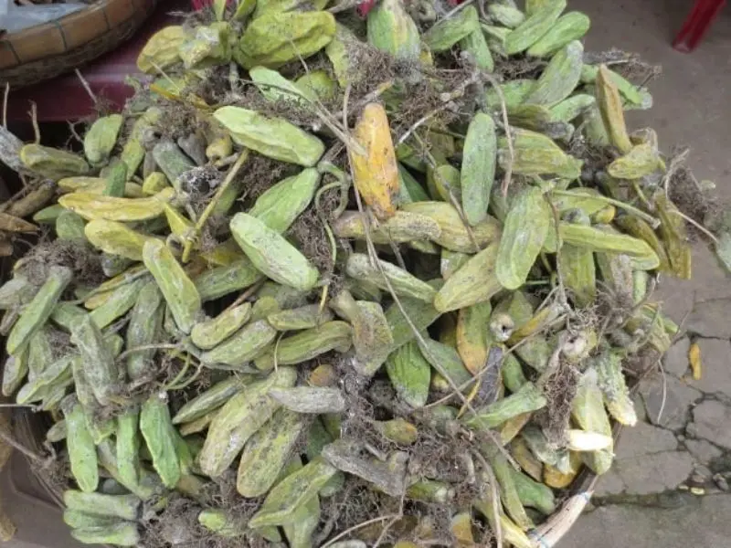 10 m&oacute;n đặc sản Ph&uacute; Quốc ngon nức tiếng khắp đảo Ngọc 14
