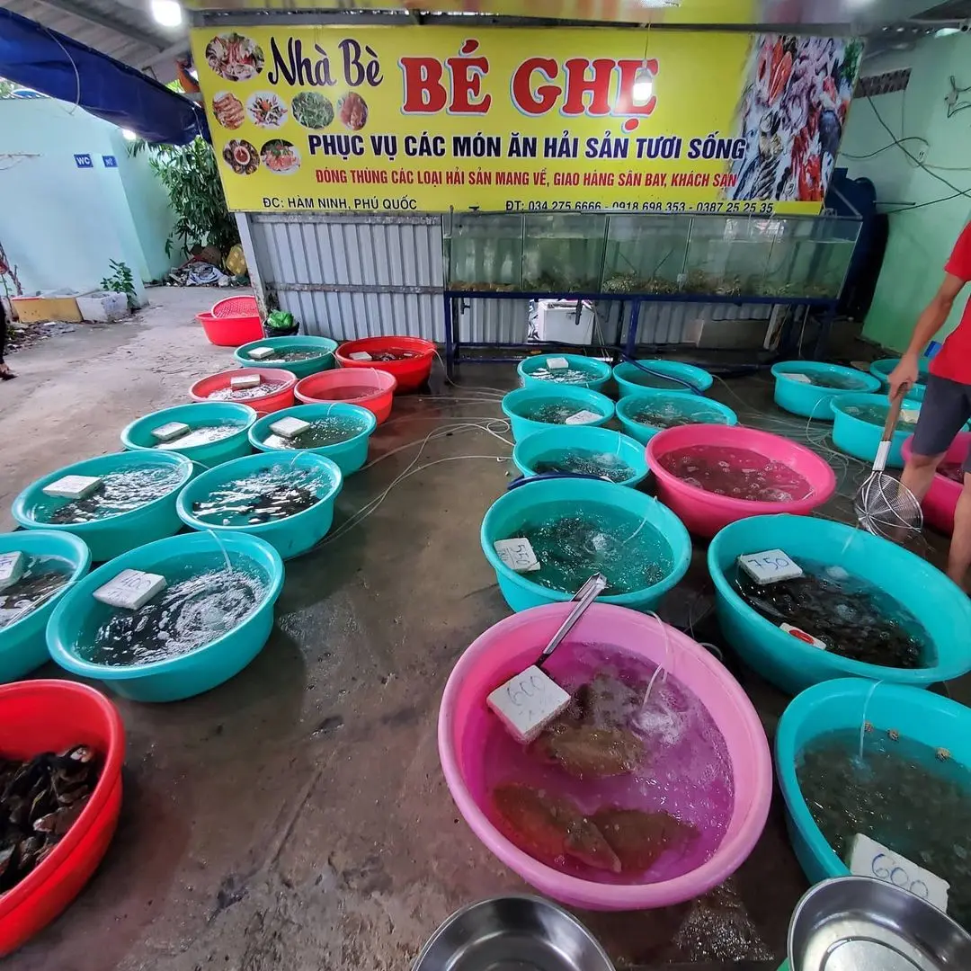 Nh&agrave; b&egrave; hải sản B&eacute; Ghẹ - Nh&agrave; h&agrave;ng hải sản b&igrave;nh d&acirc;n ở l&agrave;ng ch&agrave;i H&agrave;m Ninh 3