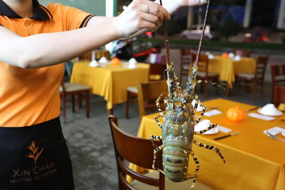 Nh&agrave; H&agrave;ng Xin Ch&agrave;o Ph&uacute; Quốc - Trải Nghiệm Bữa Ăn B&ecirc;n Khoảnh Khắc Ho&agrave;ng H&ocirc;n L&atilde;ng Mạn 26