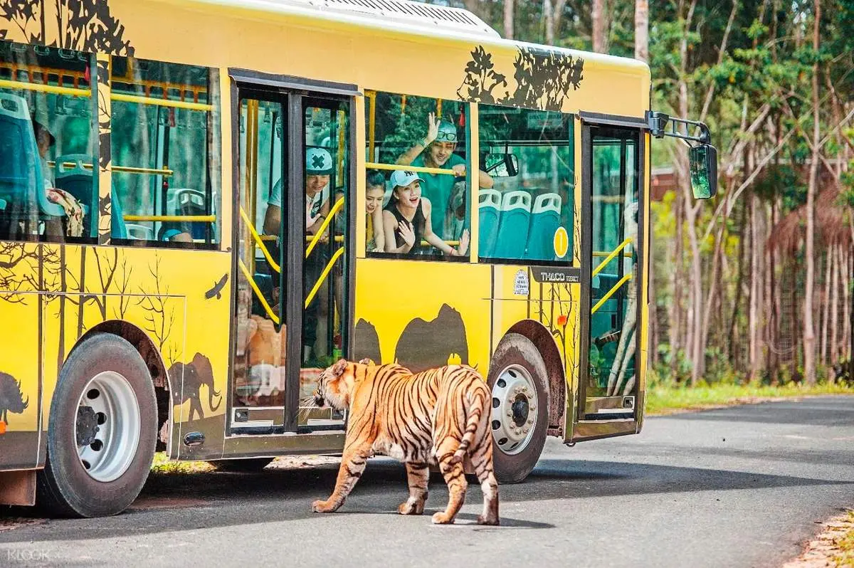 Lịch tr&igrave;nh xe bus Ph&uacute; Quốc tuyến VinWonders v&agrave; Vinpearl Safari 7