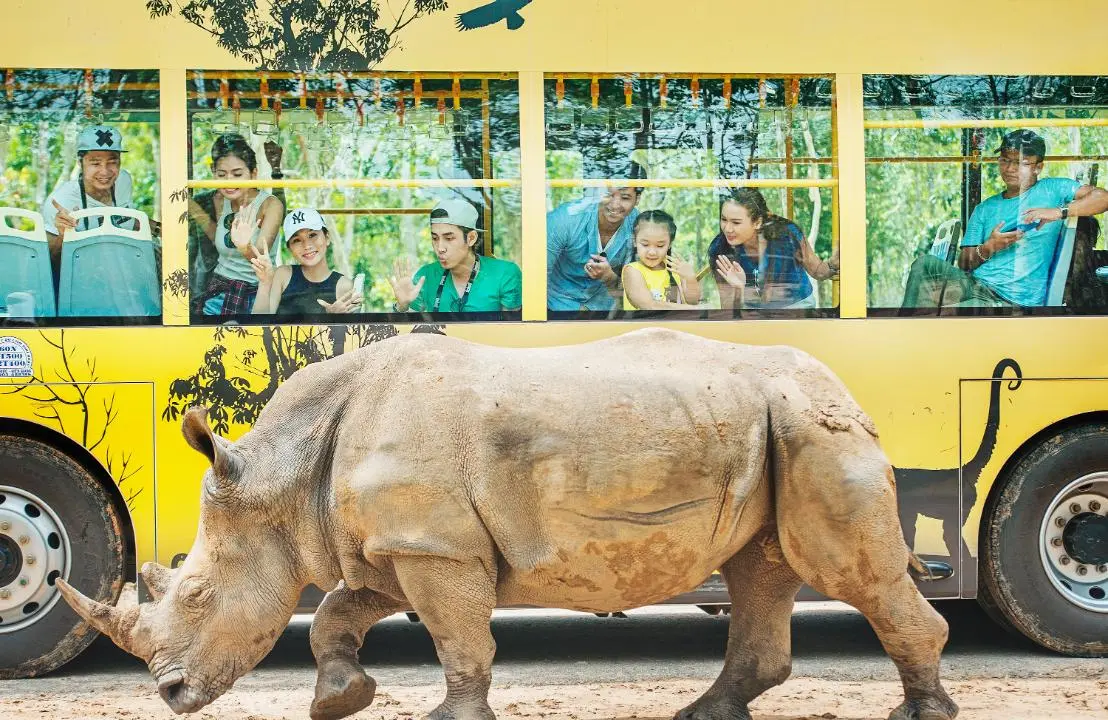 Lịch tr&igrave;nh xe bus Ph&uacute; Quốc tuyến VinWonders v&agrave; Vinpearl Safari 8