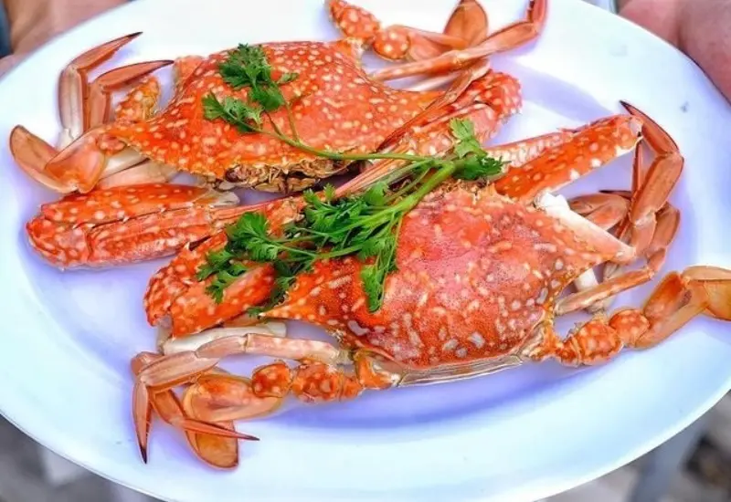 Du lịch Ph&uacute; Quốc Tết 2026: kỳ nghỉ ho&agrave;n hảo cho cả gia đ&igrave;nh 9