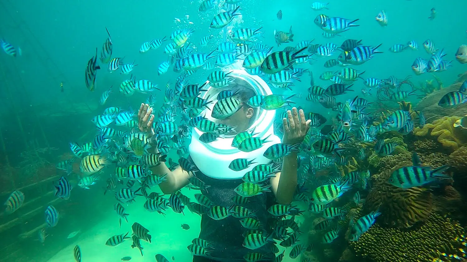 Travel blogger Quỷ Cốc Tử gợi &yacute; những trải nghiệm kh&ocirc;ng thể bỏ qua v&agrave;o m&ugrave;a v&agrave;ng Ph&uacute; Quốc 18