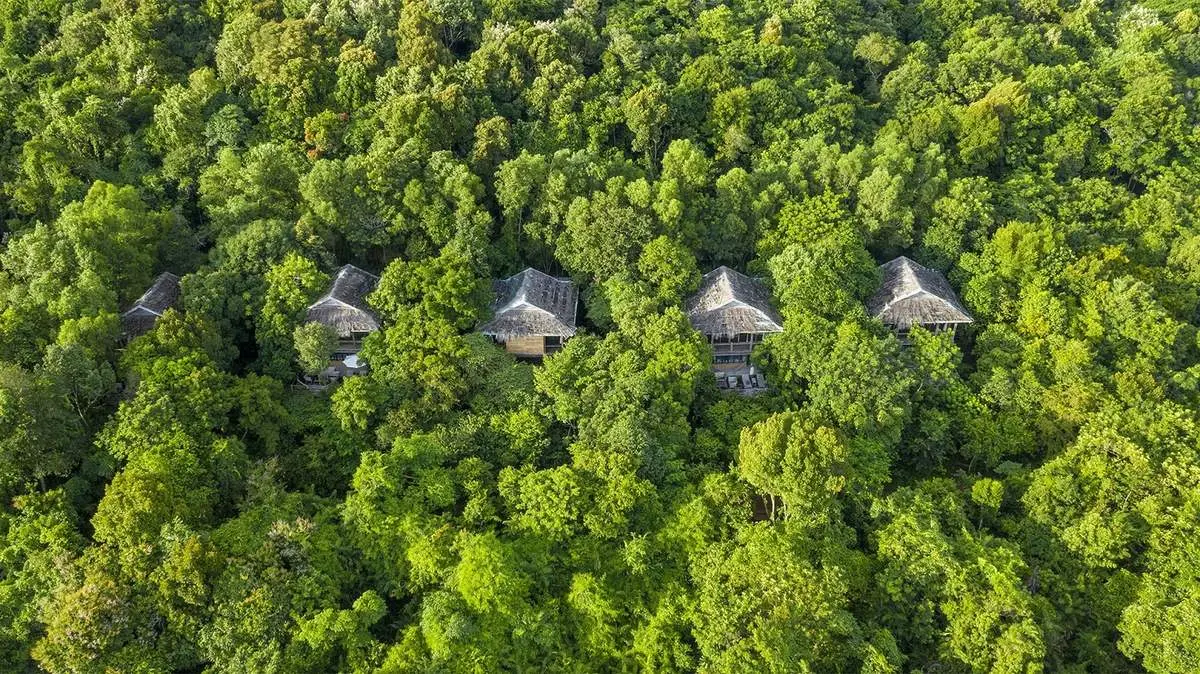 Review khu resort trong rừng ở Phú Quốc sở hữu không gian xanh ấn tượng