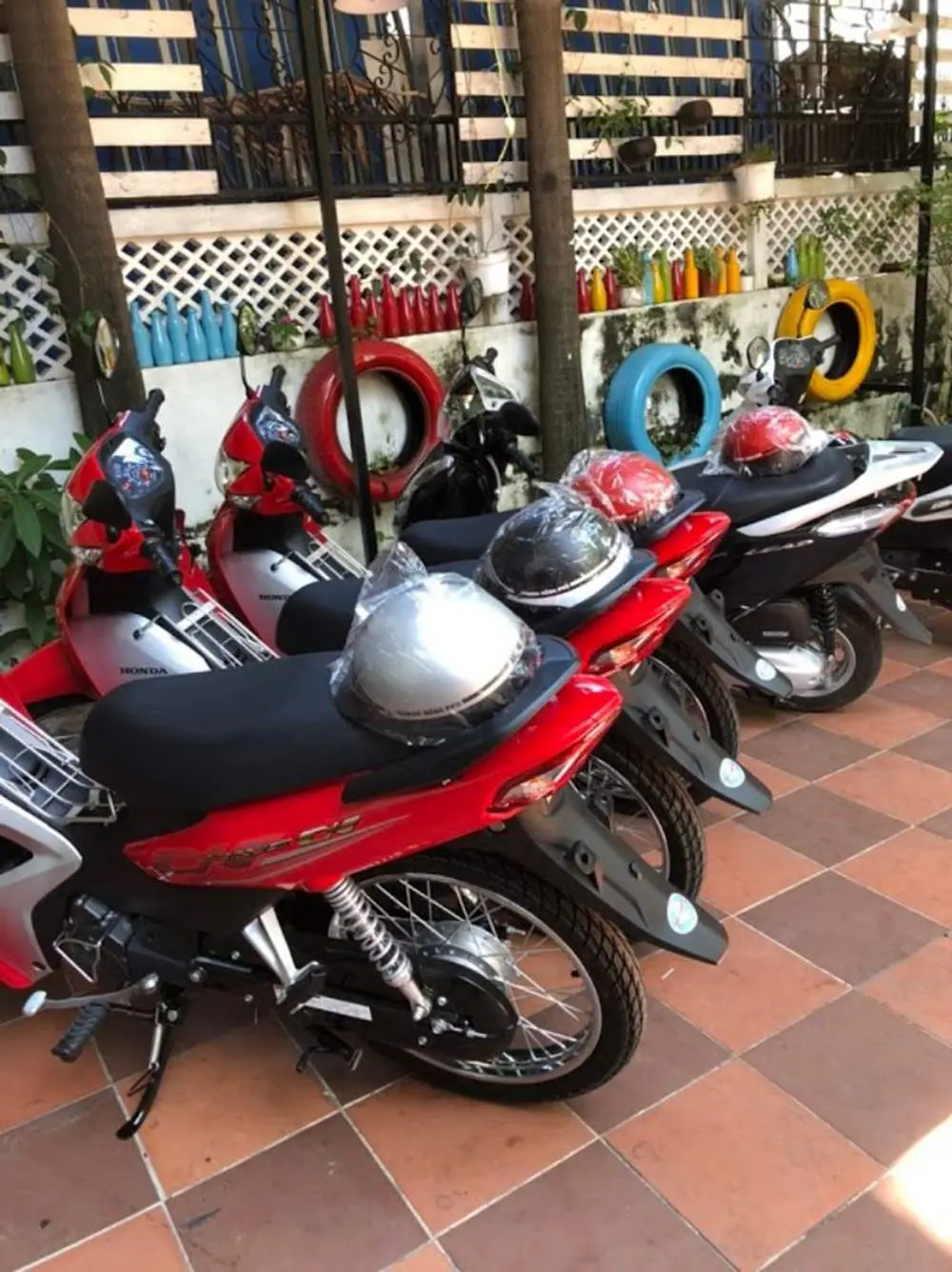 Ăn G&igrave; Ở Ph&uacute; Y&ecirc;n? Trải Nghiệm Ẩm Thực Tại Bến Thuỷ Restaurant 3