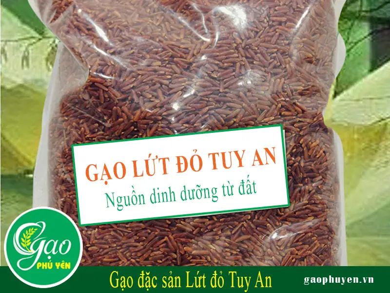 Cơm gạo đỏ Ph&uacute; Y&ecirc;n - Loại gạo đặc biệt tại khu vực v&ugrave;ng n&uacute;i Ph&uacute; Y&ecirc;n 2