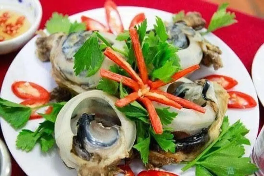 Dừng ch&acirc;n thưởng thức m&oacute;n ngon bổ dưỡng do mẹ biển cả ban tặng - Mắt c&aacute; ngừ đại dương Ph&uacute; Y&ecirc;n 3