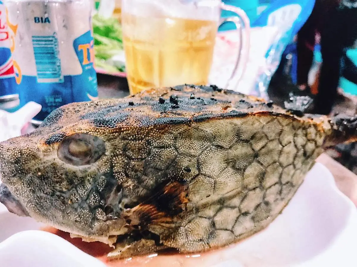 G&agrave; nước mặn Ph&uacute; Y&ecirc;n - Thượng phẩm qu&yacute; hiếm kh&ocirc;ng thể bỏ qua nếu c&oacute; cơ hội thưởng thức 10
