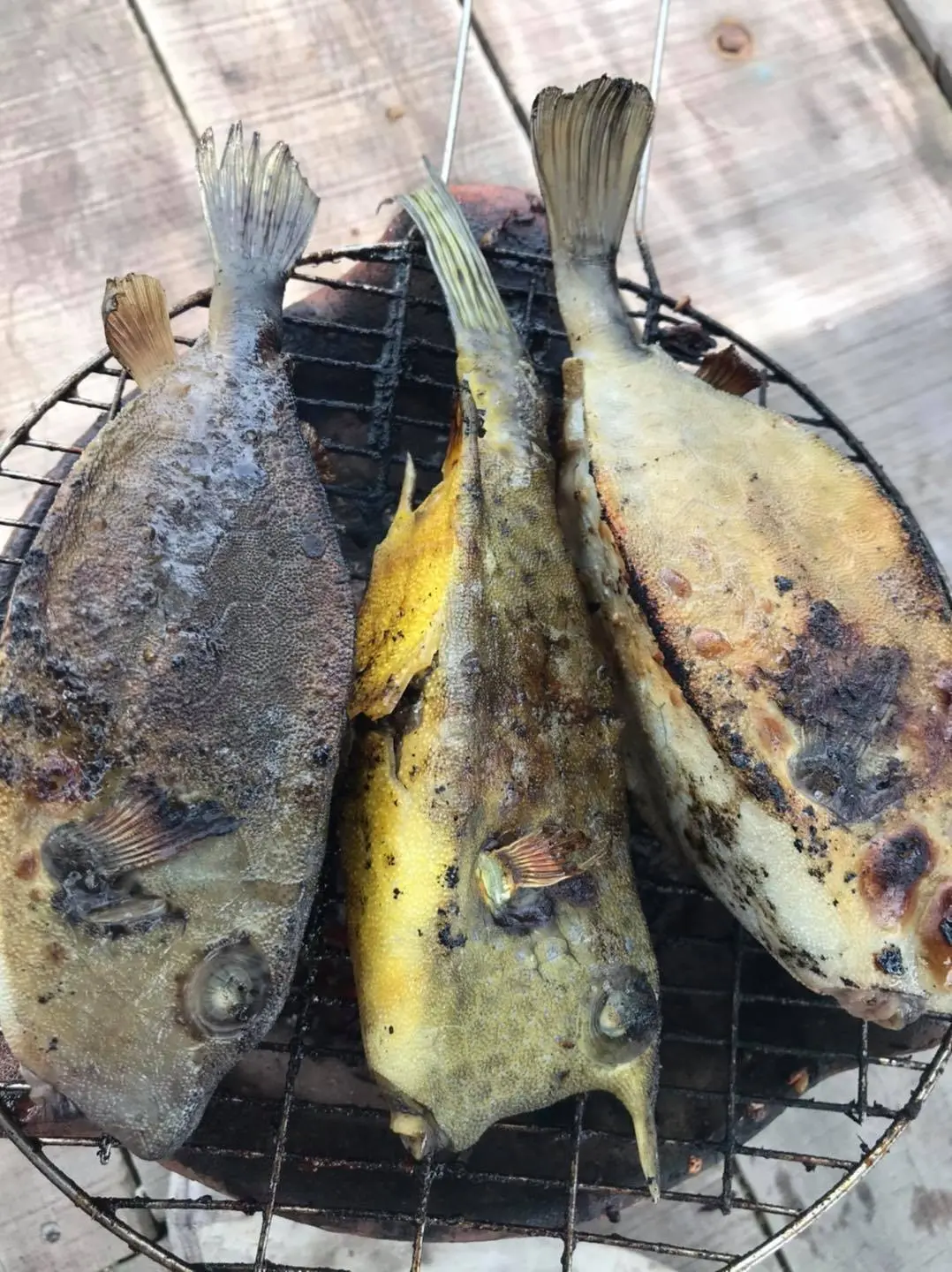 G&agrave; nước mặn Ph&uacute; Y&ecirc;n - Thượng phẩm qu&yacute; hiếm kh&ocirc;ng thể bỏ qua nếu c&oacute; cơ hội thưởng thức 6