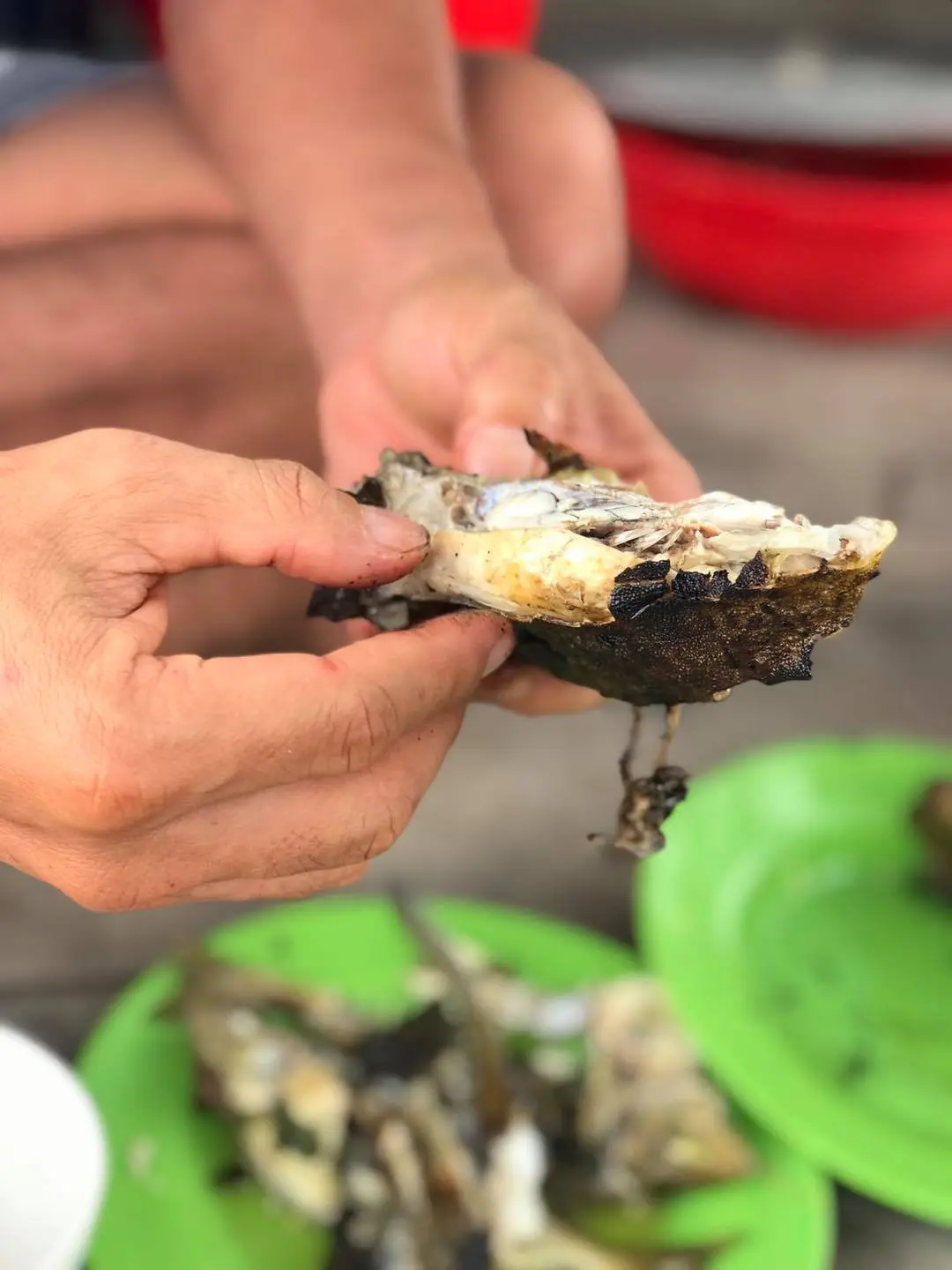G&agrave; nước mặn Ph&uacute; Y&ecirc;n - Thượng phẩm qu&yacute; hiếm kh&ocirc;ng thể bỏ qua nếu c&oacute; cơ hội thưởng thức 5