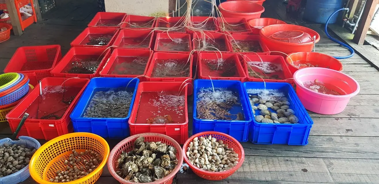 Hải sản Tr&uacute;c Kiều Ph&uacute; Y&ecirc;n - Lạc lối giữa thi&ecirc;n đường hải sản ngon m&ecirc; ly 7