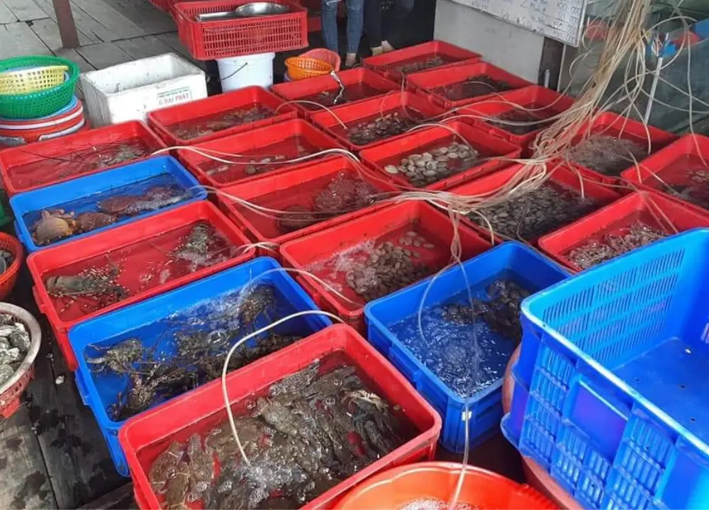 Hải sản Tr&uacute;c Kiều Ph&uacute; Y&ecirc;n - Lạc lối giữa thi&ecirc;n đường hải sản ngon m&ecirc; ly 3