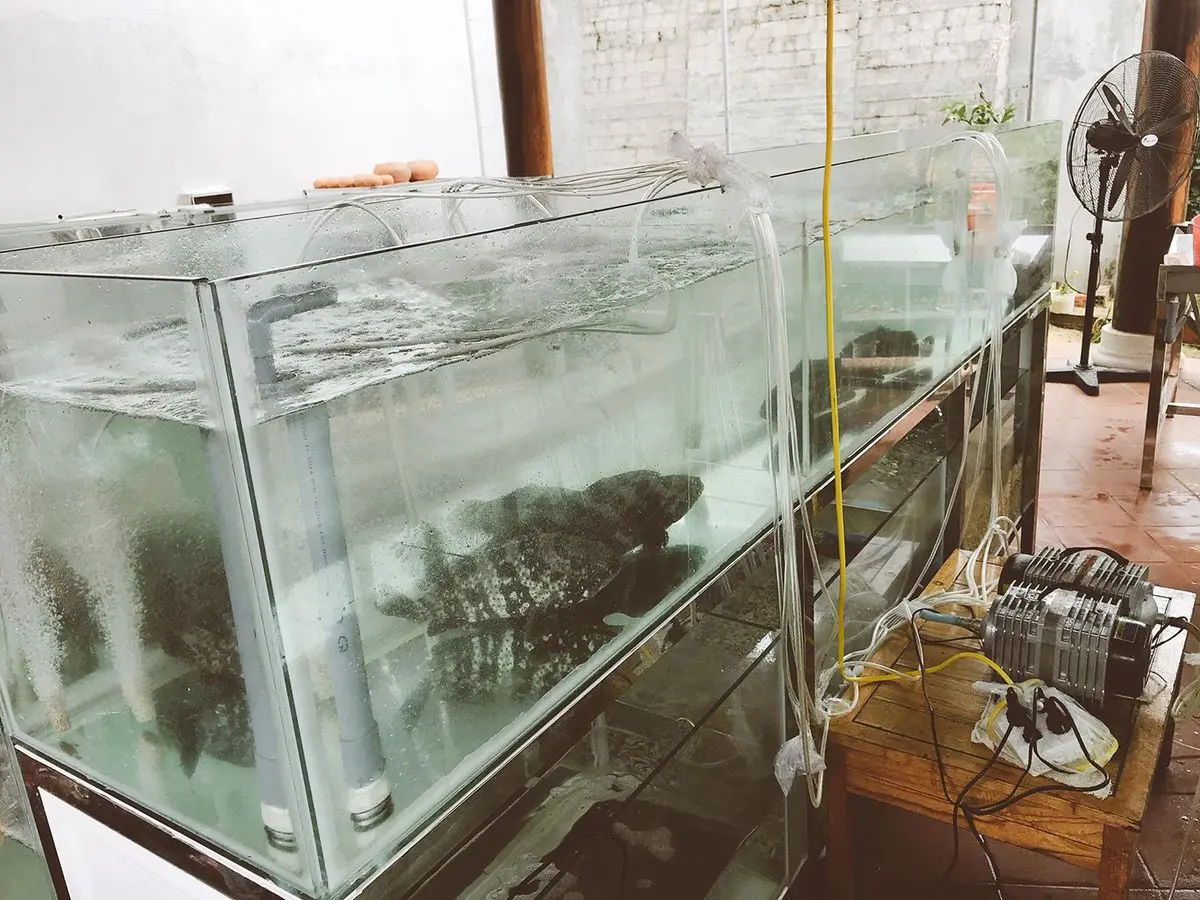 Kh&aacute;m ph&aacute; nh&agrave; h&agrave;ng ẩm thực Đ&ocirc;ng Quảng Tuy Ho&agrave; Ph&uacute; Y&ecirc;n 9