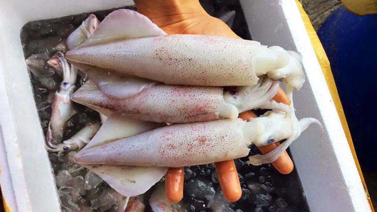 M&ecirc; mệt với m&oacute;n b&uacute;n chả mực Ph&uacute;c Long đậm đ&agrave; hương vị của biển 4