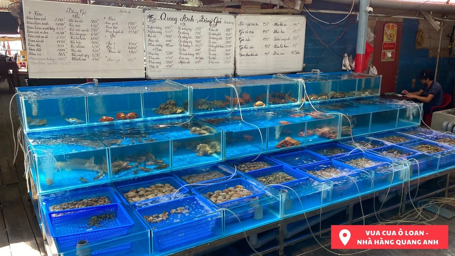 Nh&agrave; h&agrave;ng Quang Anh - Vua cua &Ocirc; Loan Ph&uacute; Y&ecirc;n với c&aacute;c m&oacute;n hải sản thơm ngon, 12