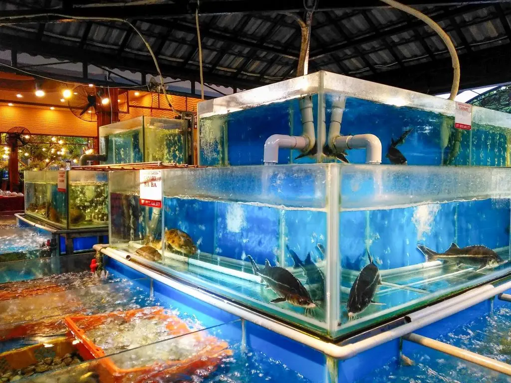 Nh&agrave; h&agrave;ng Seafood Garden Canary Ph&uacute; Y&ecirc;n &ndash; Vườn hải sản chất lượng của xứ Nẫu 6