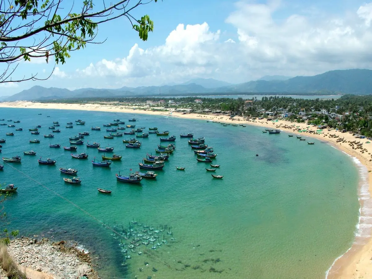 Rượu c&aacute; ngựa S&ocirc;ng Cầu &ndash; Từ đặc sản Ph&uacute; Y&ecirc;n đến thần dược đa năng 3