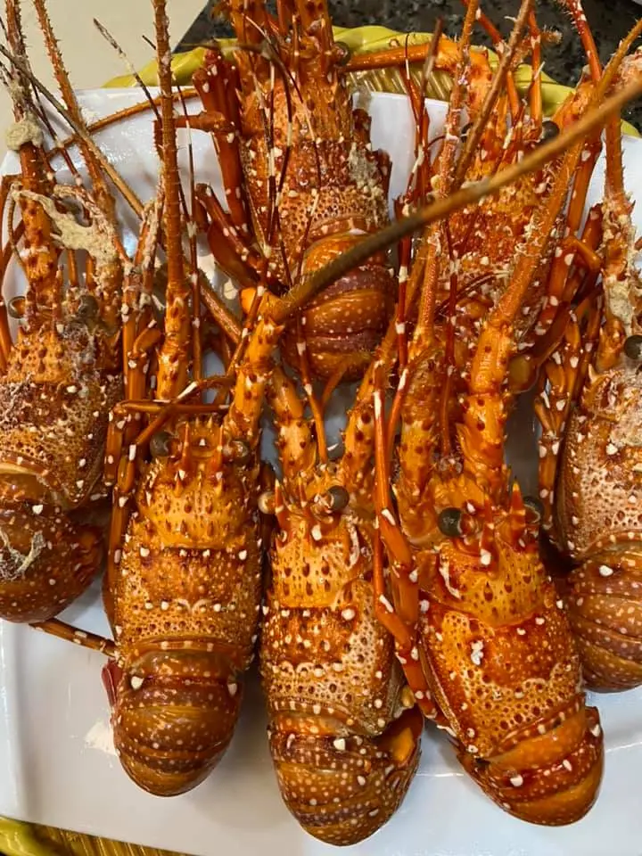Top 5 nh&agrave; h&agrave;ng ngon Ph&uacute; Y&ecirc;n được c&aacute;c t&iacute;n đồ ẩm thực săn l&ugrave;ng rần rần 12