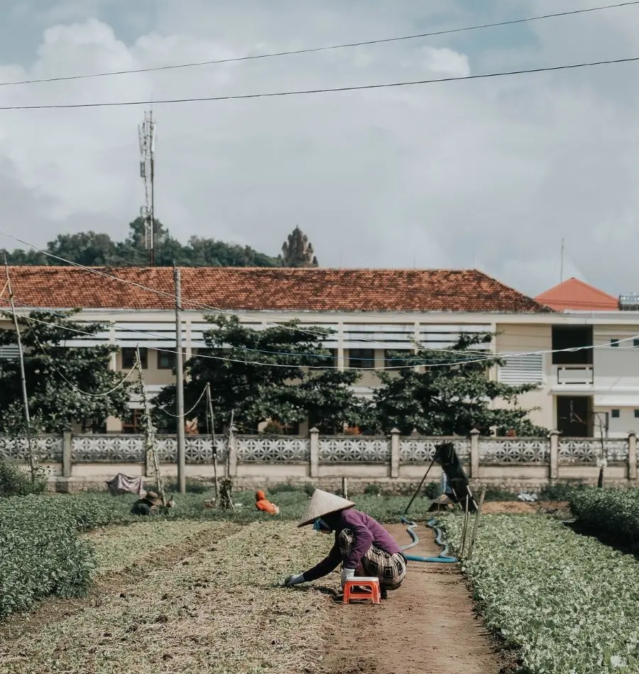 Kh&aacute;m ph&aacute; Ph&uacute; Y&ecirc;n đầy nắng v&agrave; gi&oacute; qua những thước ảnh b&igrave;nh y&ecirc;n 13