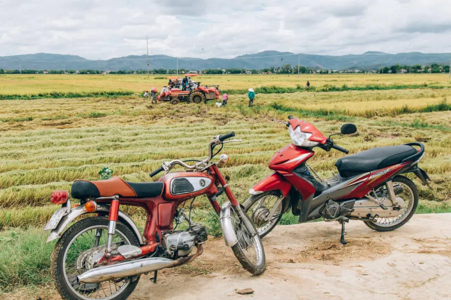Một ng&agrave;y Lang thang Ph&uacute; Y&ecirc;n lạc v&agrave;o cảnh sắc thi&ecirc;n nhi&ecirc;n tuyệt mỹ 12