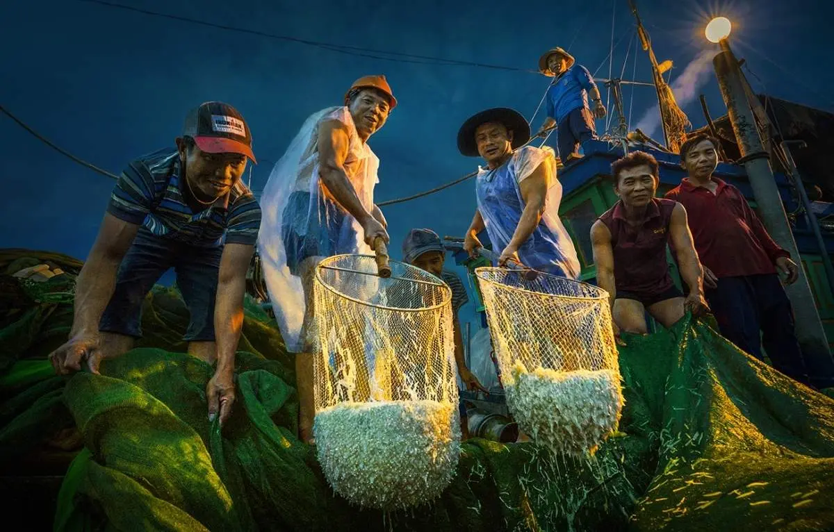 Những thước phim ng&acirc;y ngất l&ograve;ng người của m&ugrave;a c&aacute; cơm Ph&uacute; Y&ecirc;n 8