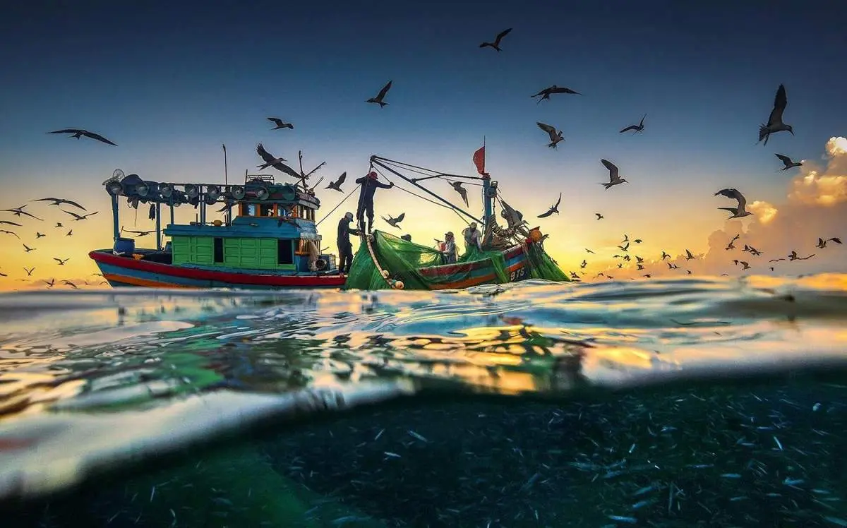 Những thước phim ng&acirc;y ngất l&ograve;ng người của m&ugrave;a c&aacute; cơm Ph&uacute; Y&ecirc;n 3
