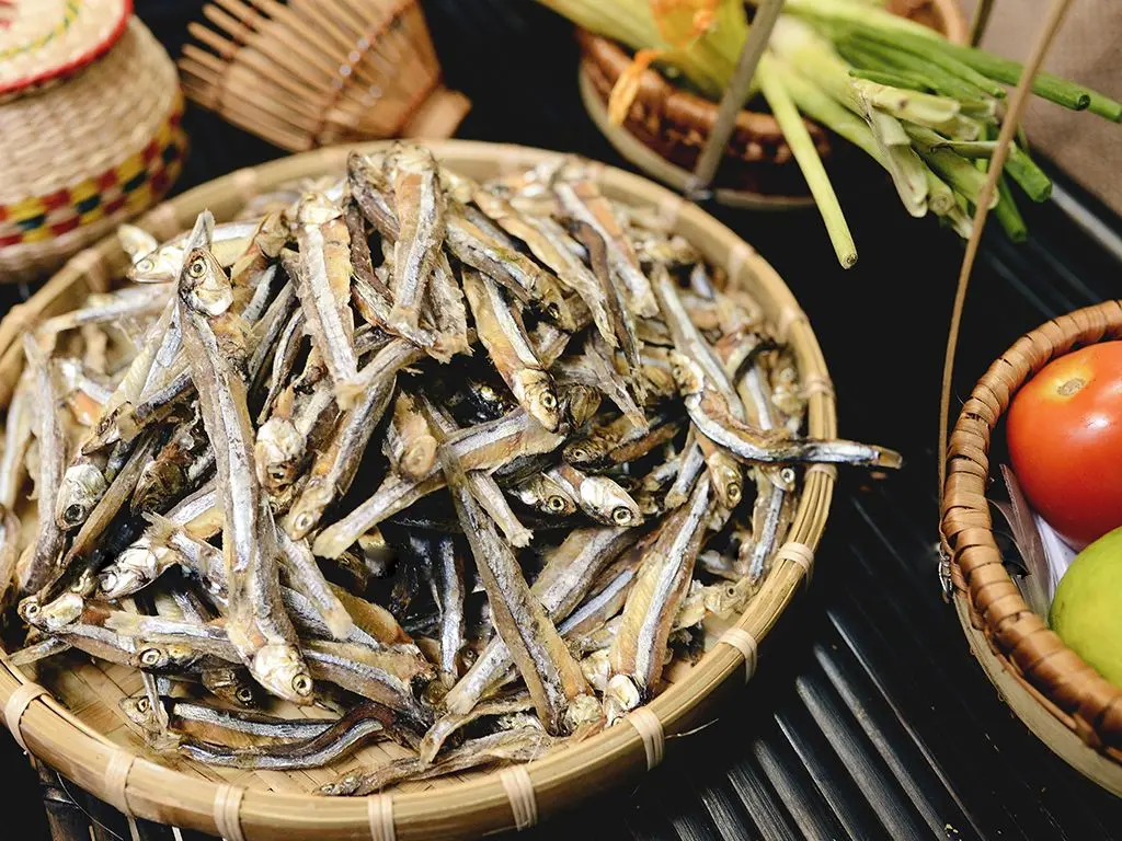 Những thước phim ng&acirc;y ngất l&ograve;ng người của m&ugrave;a c&aacute; cơm Ph&uacute; Y&ecirc;n 10