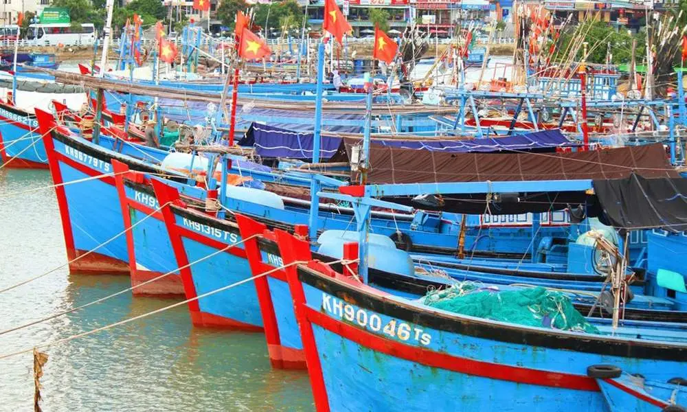 Vẻ đẹp của cuộc sống v&agrave; con người tại những bến cảng Ph&uacute; Y&ecirc;n 5