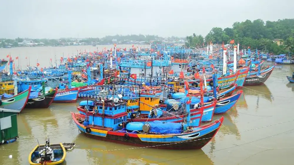 Vẻ đẹp của cuộc sống v&agrave; con người tại những bến cảng Ph&uacute; Y&ecirc;n 4