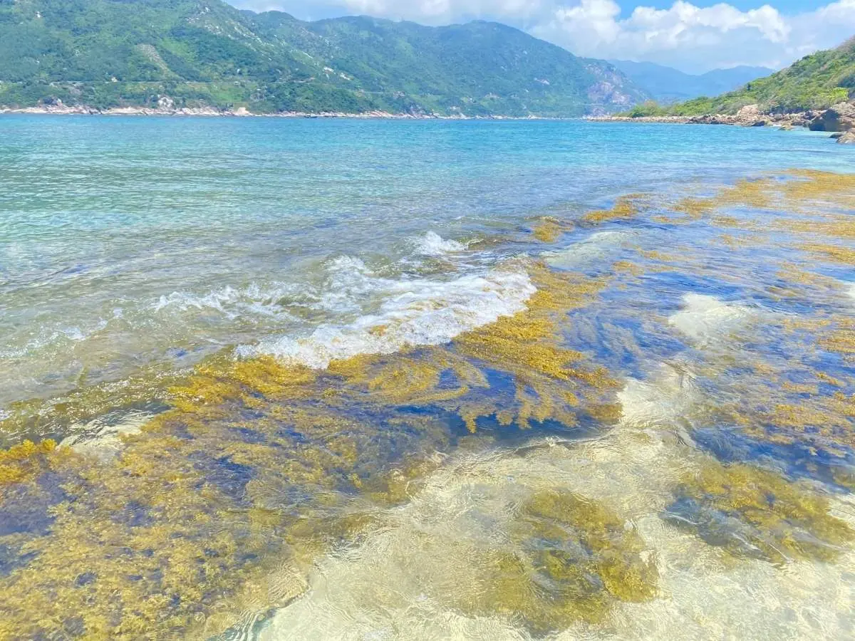 Tất tần tật những g&igrave; bạn cần biết về lịch tr&igrave;nh trải nghiệm 1 ng&agrave;y tại H&ograve;n Nưa Ph&uacute; Y&ecirc;n 3