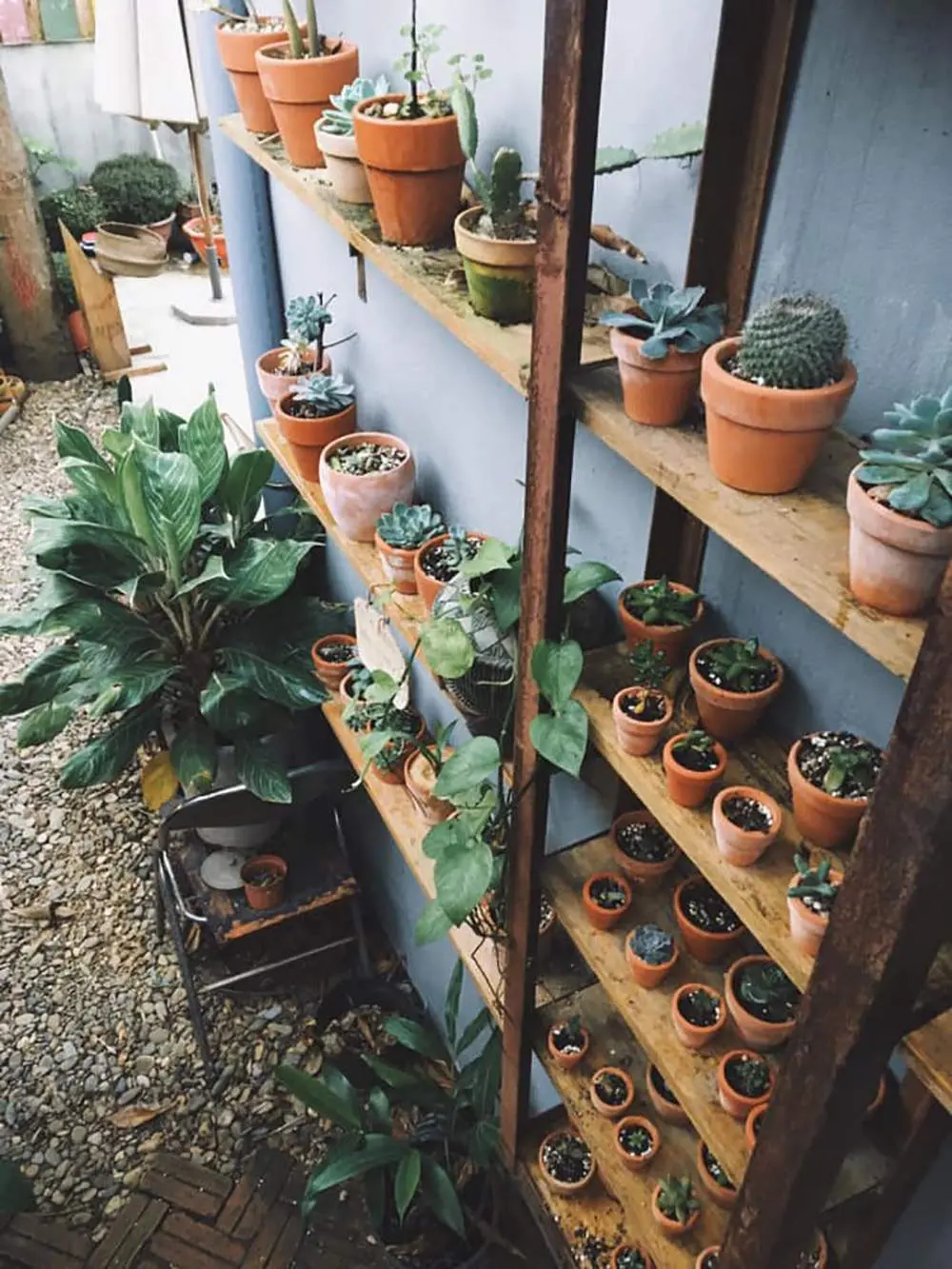 Bayhops caf&eacute; Quảng B&igrave;nh v&agrave; kh&ocirc;ng gian nh&agrave; gỗ mộng mơ 4