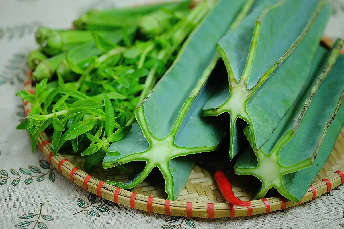 Canh xương rồng Quảng B&igrave;nh, m&oacute;n ăn giản đơn của v&ugrave;ng biển xanh c&aacute;t trắng 3