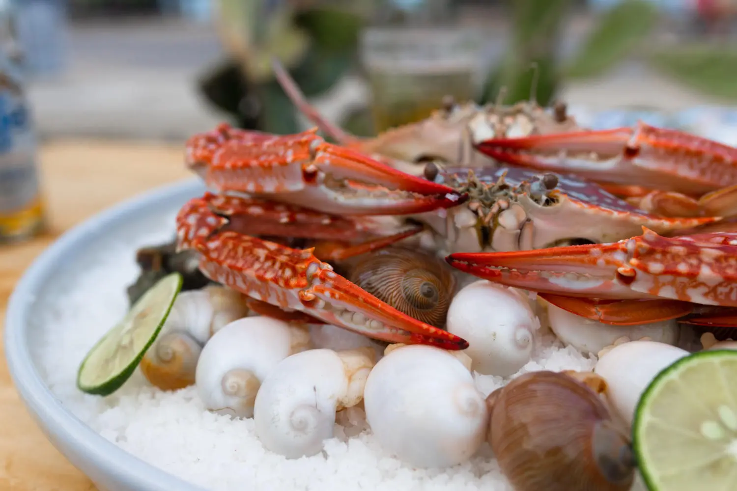 Đến Chang Chang Beach Bar Nhật Lệ khuấy động m&ugrave;a h&egrave; cực vui 4