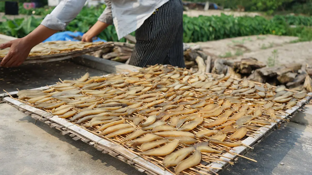 Đi Quảng B&igrave;nh mua g&igrave; l&agrave;m qu&agrave; vừa ngon vừa rẻ 2