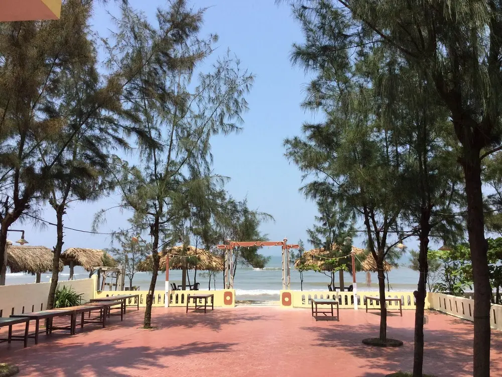 Lưu ngay những địa điểm ăn hải sản Quảng B&igrave;nh thơm ngon, hấp dẫn 10