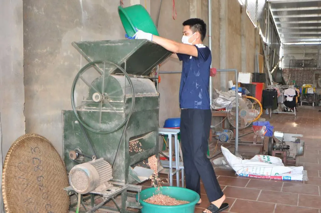 Mua Dầu lạc Phong Nha về l&agrave;m qu&agrave;, đảm bảo an to&agrave;n cho sức khỏe 3