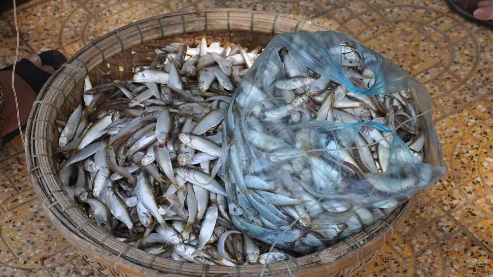 Thử ăn m&oacute;n Mắm lẹp Quảng B&igrave;nh thơm ngon nức tiếng gần xa 3