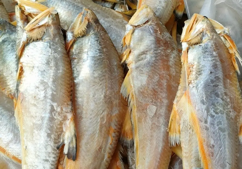 Thử ăn m&oacute;n Mắm lẹp Quảng B&igrave;nh thơm ngon nức tiếng gần xa 5