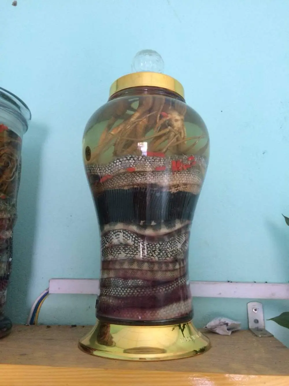 Thưởng thức Đẻn biển Quảng B&igrave;nh với hương vị thơm ngon kh&oacute; qu&ecirc;n 4